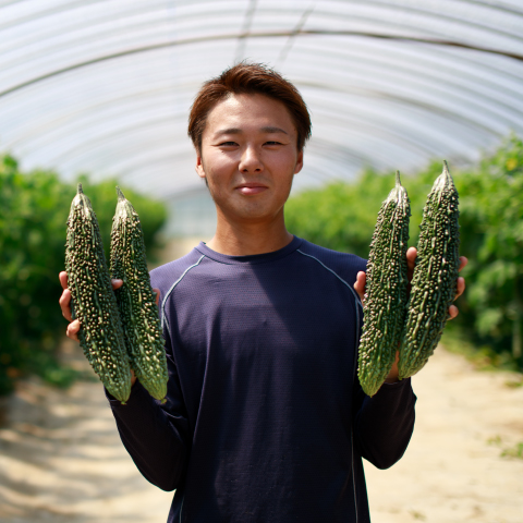 ゴーヤ 熊本県植木町 西原さん