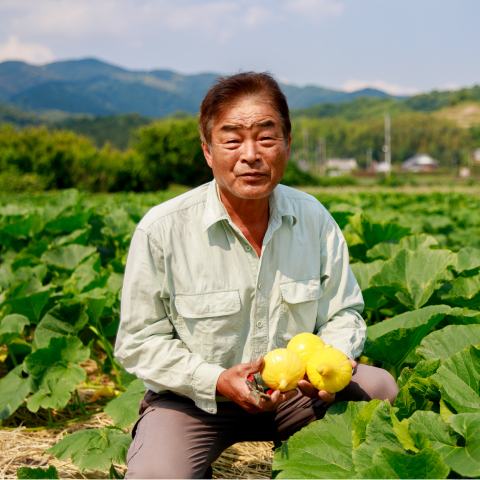 かぼちゃ 福岡県朝倉市 財津さん